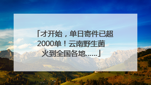 才开始，单日寄件已超2000单！云南野生菌火到全国各地……