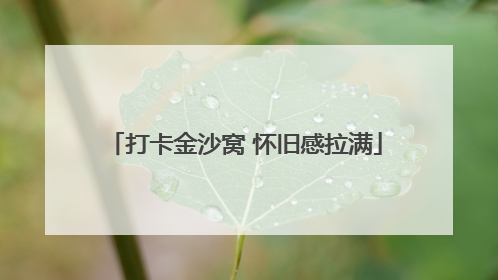 打卡金沙窝 怀旧感拉满