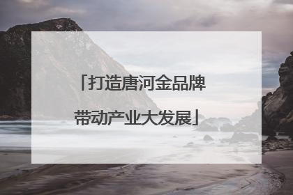 打造唐河金品牌 带动产业大发展