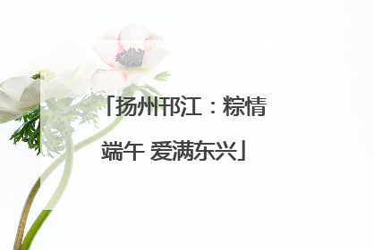 扬州邗江：粽情端午 爱满东兴