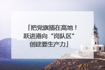 把党旗插在高地！跃进港向“岗队区”创建要生产力