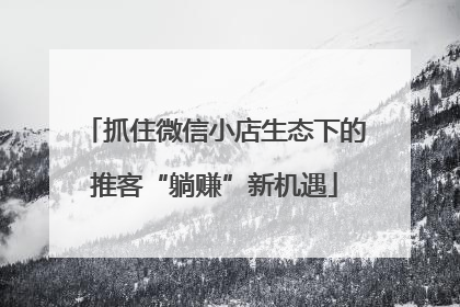 抓住微信小店生态下的推客“躺赚”新机遇