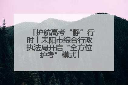 护航高考“静”行时丨耒阳市综合行政执法局开启“全方位护考”模式