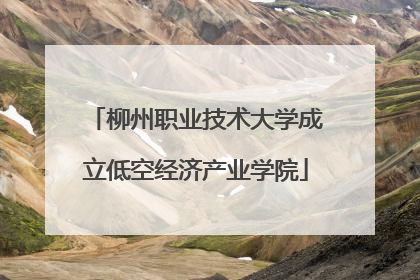柳州职业技术大学成立低空经济产业学院