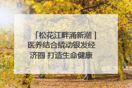 松花江畔涌新潮｜医养结合撬动银发经济圈 打造生命健康产业新样本