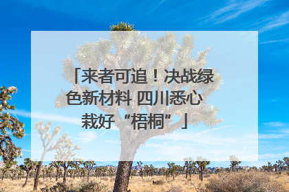 来者可追！决战绿色新材料 四川悉心栽好“梧桐”