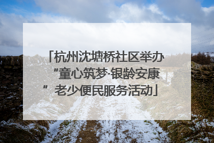 杭州沈塘桥社区举办“童心筑梦·银龄安康”老少便民服务活动