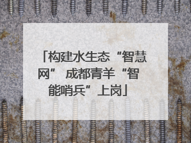 构建水生态“智慧网” 成都青羊“智能哨兵”上岗