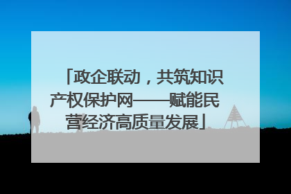 政企联动，共筑知识产权保护网——赋能民营经济高质量发展