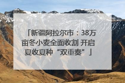 新疆阿拉尔市：38万亩冬小麦全面收割 开启夏收夏种“双重奏”