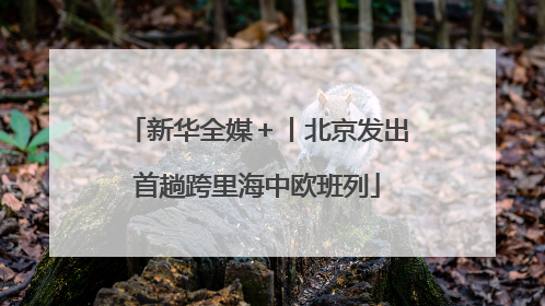 新华全媒＋丨北京发出首趟跨里海中欧班列