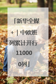新华全媒+|中欧班列累计开行110000列