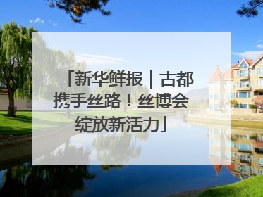 新华鲜报｜古都携手丝路！丝博会绽放新活力