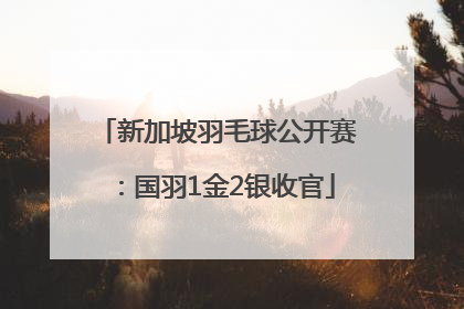 新加坡羽毛球公开赛：国羽1金2银收官