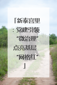 新泰宫里：党建引领“微治理” 点亮基层“网格红”
