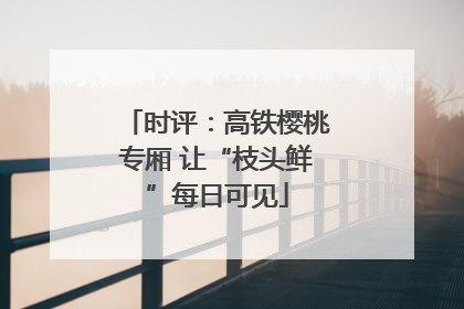 时评：高铁樱桃专厢 让“枝头鲜”每日可见