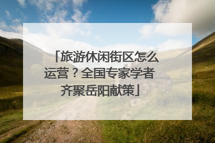 旅游休闲街区怎么运营？全国专家学者齐聚岳阳献策