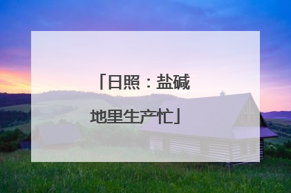 日照：盐碱地里生产忙