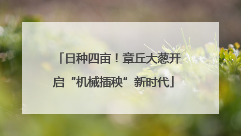 日种四亩！章丘大葱开启“机械插秧”新时代
