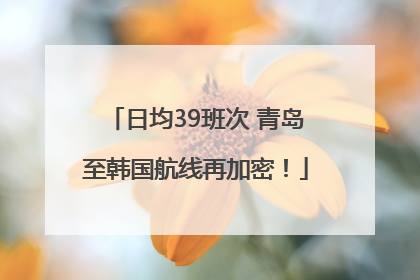 日均39班次 青岛至韩国航线再加密！