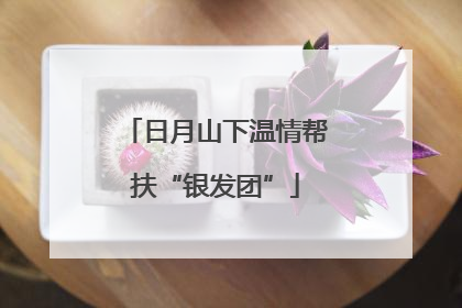 日月山下温情帮扶“银发团”