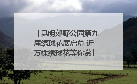 昆明郊野公园第九届绣球花展启幕 近万株绣球花等你赏