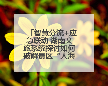智慧分流+应急联动 湖南文旅系统探讨如何破解景区“人海”困局