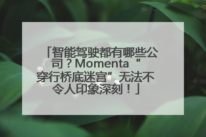 智能驾驶都有哪些公司？Momenta“穿行桥底迷宫”无法不令人印象深刻！