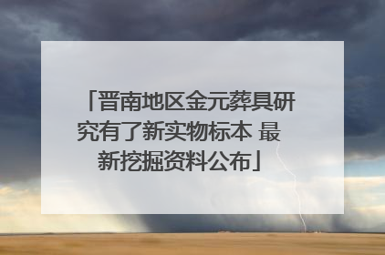 晋南地区金元葬具研究有了新实物标本 最新挖掘资料公布