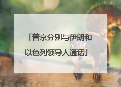 普京分别与伊朗和以色列领导人通话
