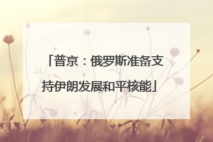 普京：俄罗斯准备支持伊朗发展和平核能
