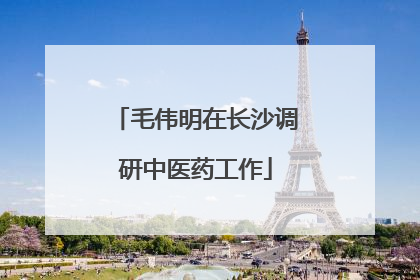 毛伟明在长沙调研中医药工作