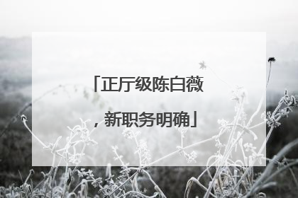 正厅级陈白薇，新职务明确