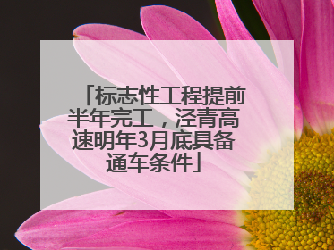 标志性工程提前半年完工，泾青高速明年3月底具备通车条件