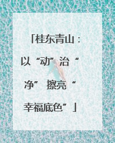 桂东青山：以“动”治“净” 擦亮“幸福底色”
