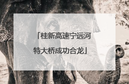 桂新高速宁远河特大桥成功合龙