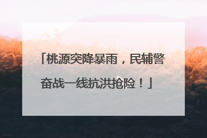 桃源突降暴雨，民辅警奋战一线抗洪抢险！