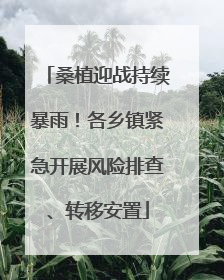 桑植迎战持续暴雨！各乡镇紧急开展风险排查、转移安置