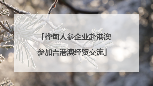 桦甸人参企业赴港澳参加吉港澳经贸交流
