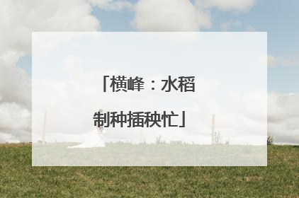 横峰：水稻制种插秧忙
