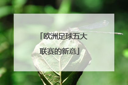 欧洲足球五大联赛的新意