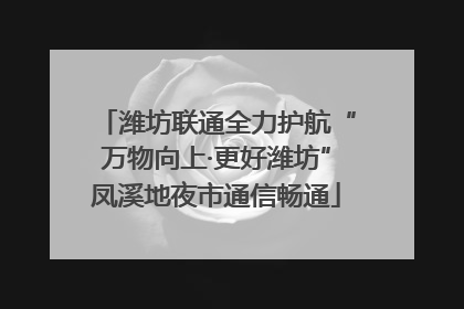 潍坊联通全力护航“万物向上·更好潍坊”凤溪地夜市通信畅通
