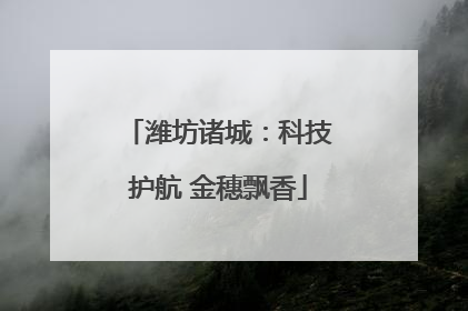 潍坊诸城：科技护航 金穗飘香