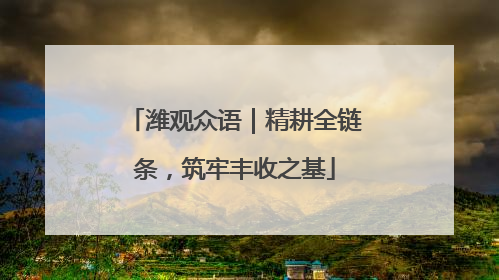 潍观众语｜精耕全链条，筑牢丰收之基