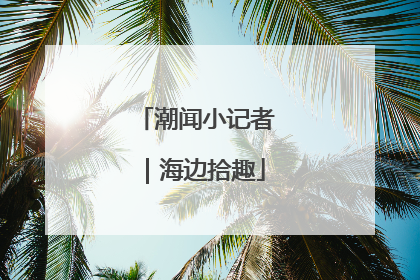 潮闻小记者｜海边拾趣