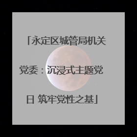 永定区城管局机关党委：沉浸式主题党日 筑牢党性之基