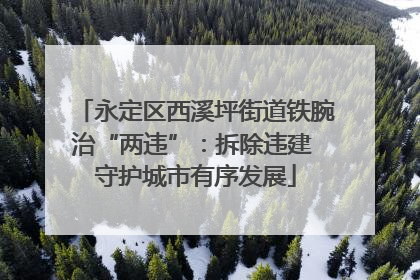永定区西溪坪街道铁腕治“两违”：拆除违建 守护城市有序发展