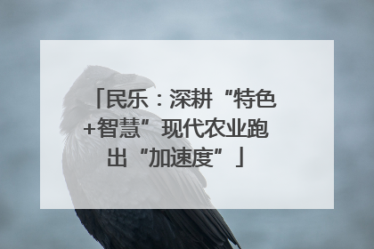民乐：深耕“特色+智慧”现代农业跑出“加速度”