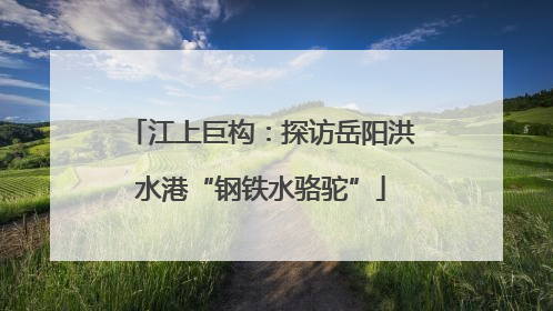 江上巨构：探访岳阳洪水港“钢铁水骆驼”