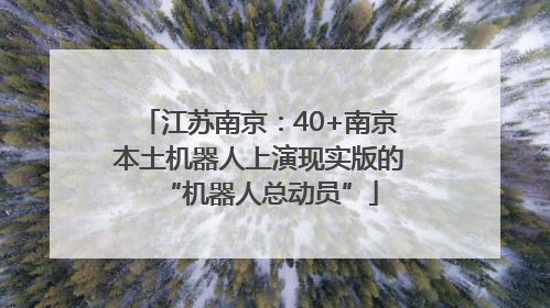 江苏南京：40+南京本土机器人上演现实版的“机器人总动员”